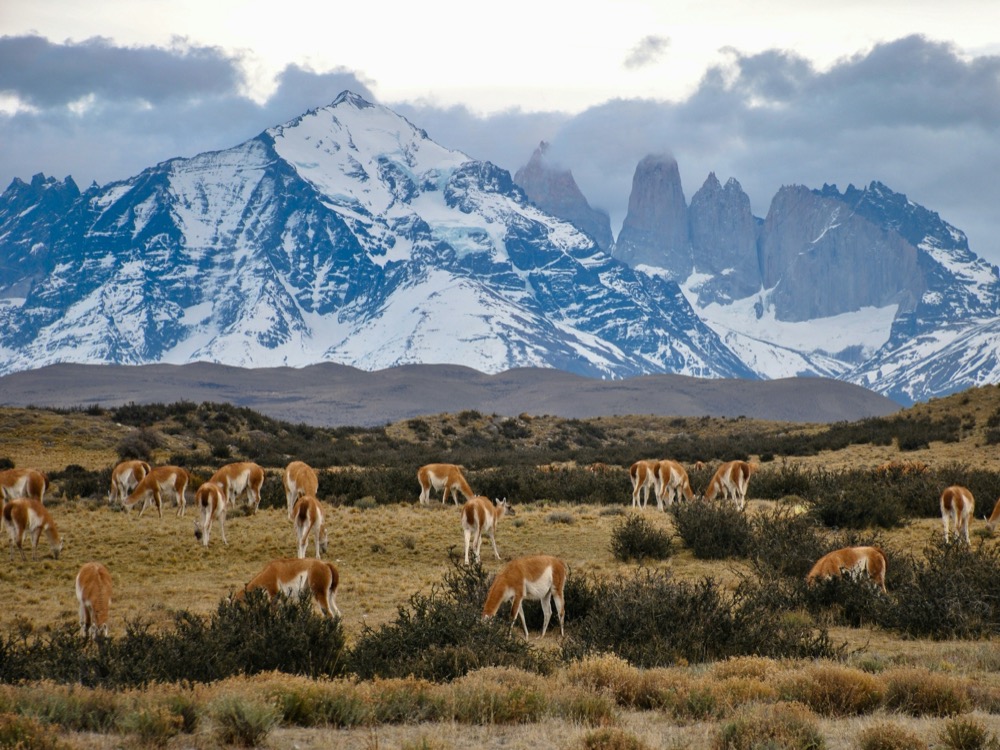 Torres del Paine i Chile