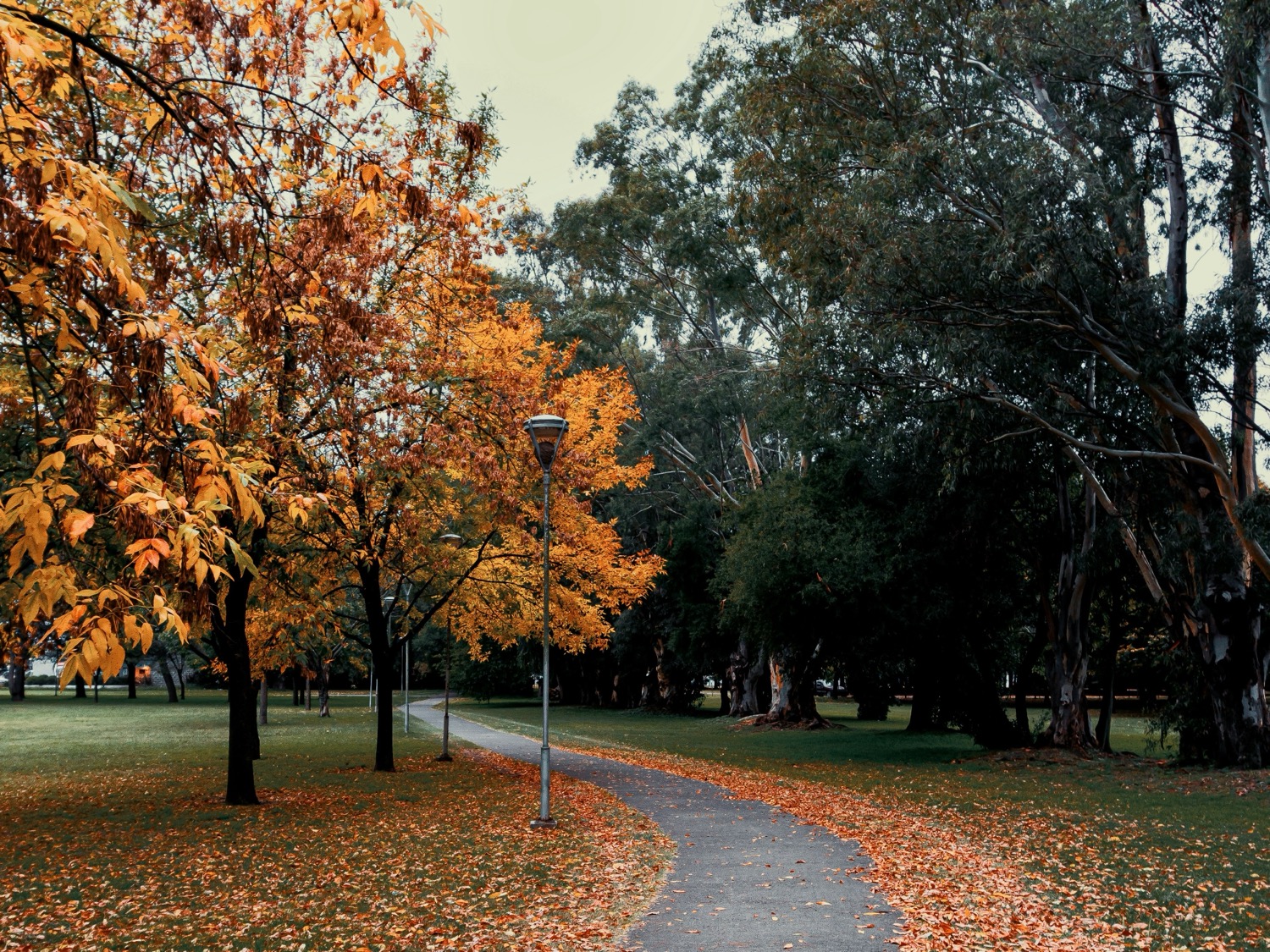 Otoño en Buenos Aires